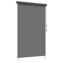 vidaXL Roletta Világosszürke 120 x 250 cm Szövet és Alumínium