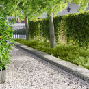 vidaXL Fűszegélyezés 10 pcs 103 x 30 cm fém Ezüst