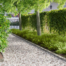 vidaXL Fűszegélyezés 50 pcs 103 x 10 cm Acél Ezüst
