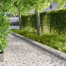 vidaXL Fűszegélyezés 10 pcs 103 x 25 cm Acél Ezüst