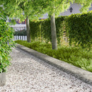 vidaXL Fűszegélyezés 10 pcs 103 x 30 cm Acél Ezüst