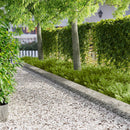 vidaXL Fűszegélyezés 10 pcs 103 x 25 cm Acél Ezüst