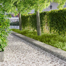 vidaXL Fűszegélyezés 10 pcs 103 x 30 cm Acél Ezüst