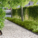 vidaXL Fűszegélyezés 10 pcs 102 x 4 x 4 cm Acél Fekete