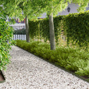 vidaXL Fűszegélyezés 30 db 102 x 4 x 4 cm Acél Olajzöld