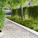 vidaXL Fűszegélyezés 30 db 100 x 12 cm Acél Fehér