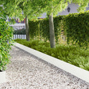 vidaXL Fűszegélyezés 30 db 100 x 18 cm Acél Fehér