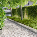 vidaXL Fűszegélyezés 10 pcs 100 x 18 cm Acél Ezüst