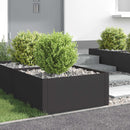 vidaXL Fűszegélyezés 4 pcs 60 x 60 x 35 cm Acél Fekete