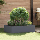 vidaXL Fűszegélyezés 100 x 60 x 35 cm Acél Antracitszürke