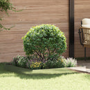 vidaXL Fűszegélyezés 100 x 100 x 20 cm Acél Ezüst
