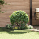 vidaXL Fűszegélyezés 100 x 100 x 20 cm Acél Ezüst