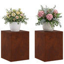 vidaXL Növényállvány 2 pcs Rozsdás 30 x 30 x 40 cm Időjárásálló Acél