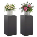 vidaXL Növényállvány 2 pcs Fekete 30 x 30 x 60 cm Acél