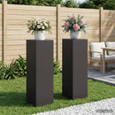vidaXL Növényállvány 2 pcs Fekete 30 x 30 x 100 cm Acél
