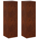 vidaXL Növényállvány 2 pcs Rozsdás 30 x 30 x 100 cm Időjárásálló Acél
