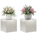 vidaXL Növényállvány 2 pcs Ezüst 40 x 40 x 40 cm Acél