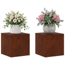 vidaXL Növényállvány 2 pcs Rozsdás 40 x 40 x 40 cm Időjárásálló Acél