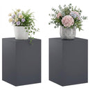 vidaXL Növényállvány 2 pcs Antracitszürke 40 x 40 x 60 cm