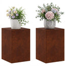 vidaXL Növényállvány 2 pcs Rozsdás 40 x 40 x 60 cm Időjárásálló Acél