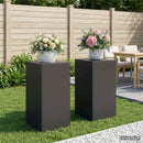 vidaXL Növényállvány 2 pcs Fekete 40 x 40 x 80 cm Acél