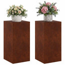 vidaXL Növényállvány 2 pcs Rozsdás 40 x 40 x 80 cm Időjárásálló Acél