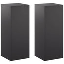 vidaXL Növényállvány 2 pcs Fekete 40 x 40 x 100 cm Acél