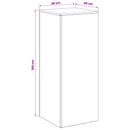 vidaXL Növényállvány 2 pcs Fekete 40 x 40 x 100 cm Acél
