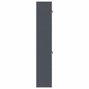vidaXL Tárolószekrény 2 db Antracit 60 x 40 x 220 cm Acél Zárolható