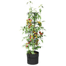 vidaXL Paradicsom növesztő Fekete Ø 32 x 127 cm PP
