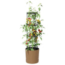 vidaXL Paradicsom növesztő Naturo ECO Ø 29 x 106 cm WPC