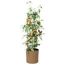vidaXL Paradicsom termesztő Naturo ECO Ø 39 x 139 cm WPC