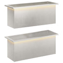 vidaXL Led-es kerti virágláda 2 db Ezüst 30 x 80 x 30 cm