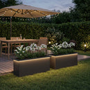 vidaXL Led-es kerti virágláda 2 db Fekete 30 x 100 x 30 cm Acél
