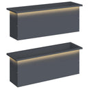 vidaXL Led-es kerti virágláda 2 db Antracit 30 x 100 x 30 cm Acél