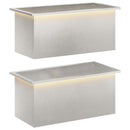 vidaXL Led-es kerti virágláda 2 db Ezüst 40 x 80 x 40 cm
