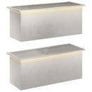 vidaXL Led-es kerti virágláda 2 db Ezüst 40 x 100 x 40 cm