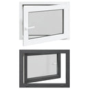vidaXL Pinceablak RISOR 80 x 50 cm PVC és Üveg Antracitszürke