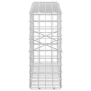 vidaXL Gabion 3,5 mm Dróttal és 5x5 cm Rácsos 100x20x50 cm