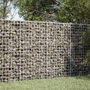 vidaXL Gabion 3,5 mm Dróttal és 5x5 cm Rácsos 50x20x100 cm