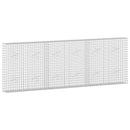 vidaXL Gabion 3,5 mm Dróttal és 5x5 cm Rácsos 300x20x100 cm