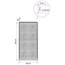 vidaXL Gabion 3,5 mm Dróttal és 5x5 cm Rácsos 100x20x200 cm