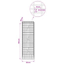 vidaXL Gabion 3,5 mm dróttal és 5x10 cm-es hálóval 50x20x150 cm