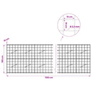 vidaXL Gabion 3,5 mm Dróttal és 10x10 cm Rácsos 1100x10x100 cm