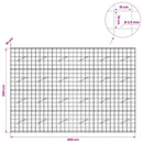 vidaXL Gabion 3,5 mm Dróttal és 10x10 cm Rácsos 300x10x200 cm
