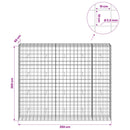 vidaXL Gabion 3,5 mm Dróttal és 10x10 cm Rácsos 250x50x200 cm