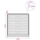 vidaXL Gabion 3,5 mm Dróttal és 10x10 cm Rácsos 200x100x200 cm