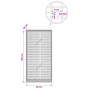 vidaXL Gabion 5 mm Dróttal és 5x2,5 cm Hálóval 50x20x100 cm