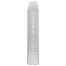 vidaXL Gabion 5 mm Dróttal és 5x2,5 cm Rácsos 300x20x100 cm
