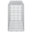 vidaXL Gabion 5 mm Dróttal és 5x2,5 cm Hálóval 100x30x50 cm